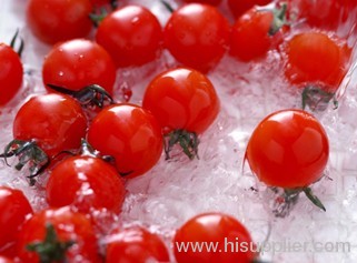 China lycopene tomato extract