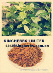 China Peppermint Extract
