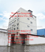 Wenzhou Songjiang Pipe & Valve Co.,Ltd.