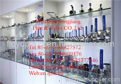 Wenzhou Songjiang Pipe & Valve Co.,Ltd.