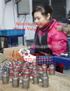 Wenzhou Songjiang Pipe & Valve Co.,Ltd.