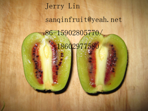 xi'an san qin fruit company