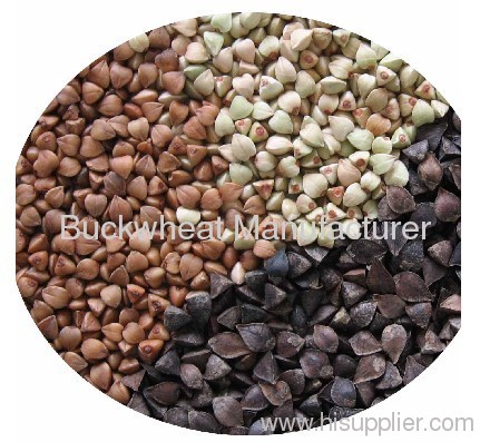 Chinese Buckwheat Inner Mongolia Origin