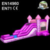 Princess Inflatable Combo Slide