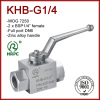 BKH-G1/4 BSP Steel / Stainles Hydraulic Ball Valve Full Port FxF WOG 7250