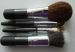 Mineral Makeup Brush set