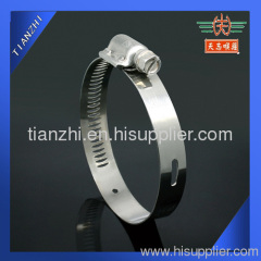 worm gear hose clamp