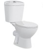 Washdown Two Pieces Closet/Toilet Bowl/Flush Toilet/Water Closet /Closestool