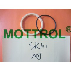 SK100 Adjuster Seal Kit