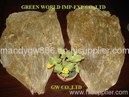 Dried Pangasius Fish Maws from Vietnam