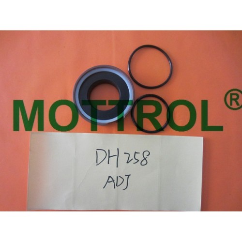 DH258 Adjuster Seal Kit