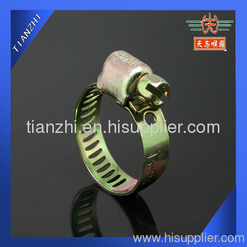 Miniature worm gear hose clamp