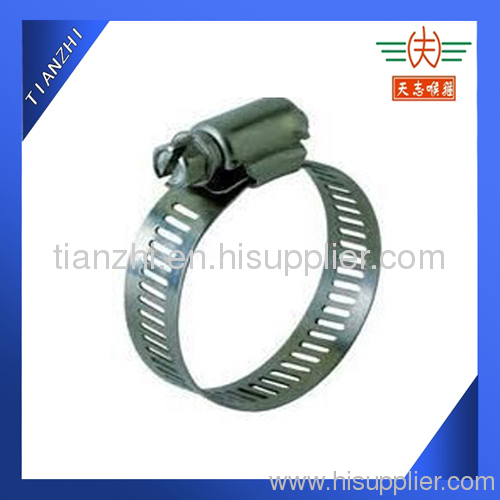 Worm Drive hose Clamps