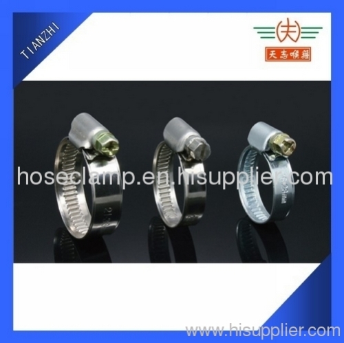 Hose Clamps