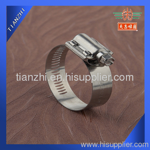 Stainless Steel worm drive hose clamp