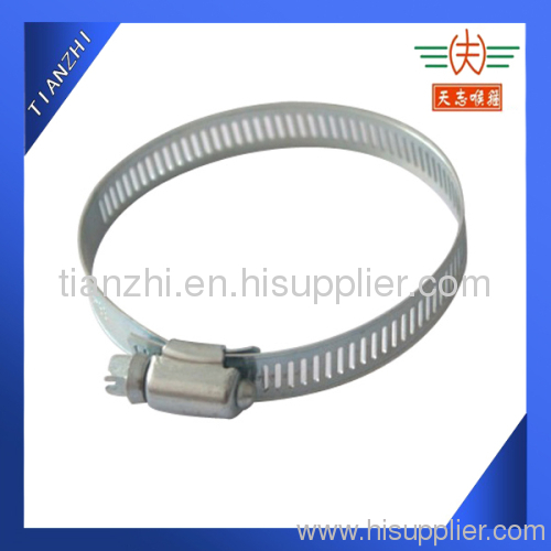 worm drive hose clamp