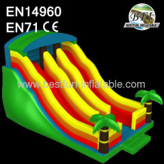 Dual Lanes Inflatable Slides