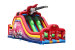 Commercial Dual Inflatable Slides