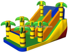 Backyard Dry Inflatable Palm Slide