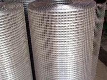 Galvanzied welded wire mesh