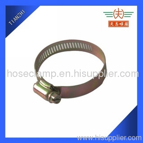 hose clamp