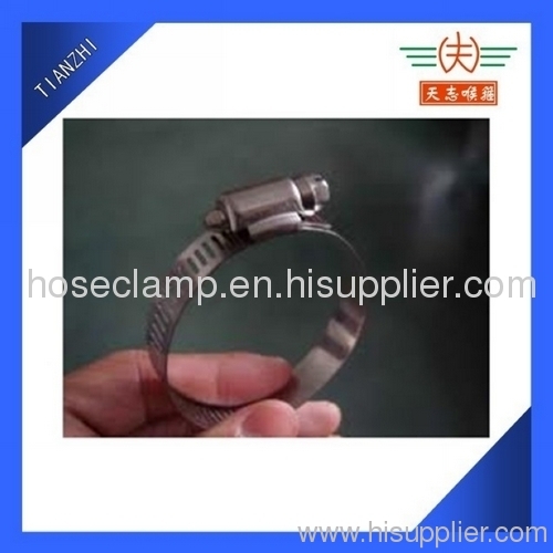 SS 304 Hose Clamps