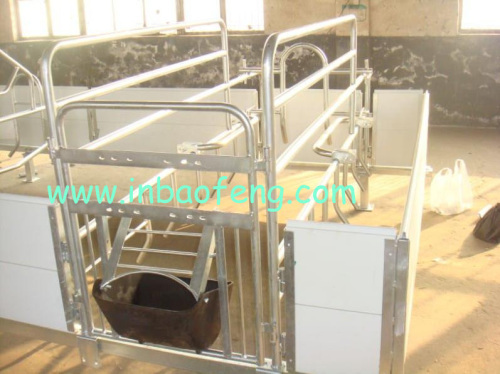 Best sell sow farrowing crates