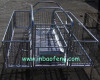 Hot sale Pig Saver Bowed Bar Crate poultry equipment