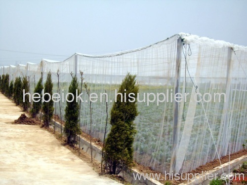 Plastic wire mesh net