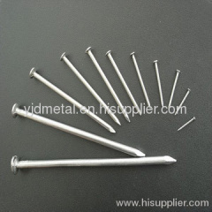 supply common iron nail