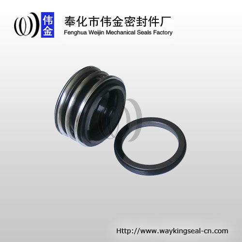 burgmann MG1 mechanical seal 65mm Carbon / SIC