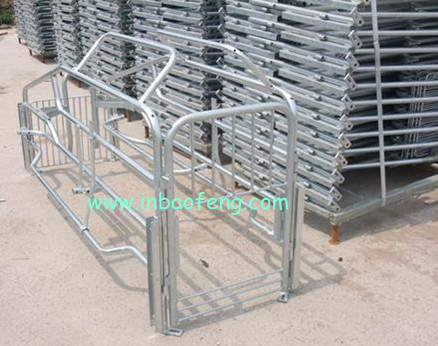 Pig project galvanized Farrowing crate hog crates