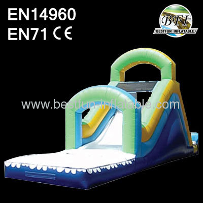 Inflatable Single Water Slide