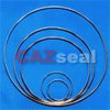 Sell Metal O-Ring Gasket