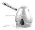 Electric Facial Steamer Beauty Machine, Negative Ion Steamers, Household Sauna Steamer