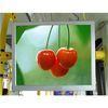 17 inch 50HZ / 60HZ H.263, FLV Clock Dustproof Wall Mount LCD Display With Password M1701D-W