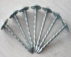 Umbrella Roofing Nails/Roofing nails with umbrella head