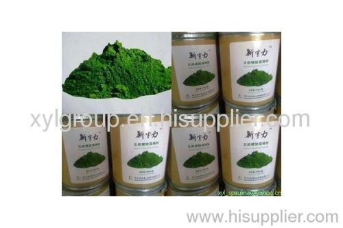 spirulina powder algae chlorella