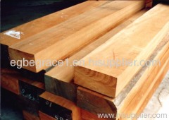 san and unsawn timber logs