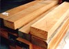 sawn and unsawn timber logs