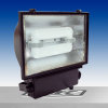 Induction lighting - flood luminaire