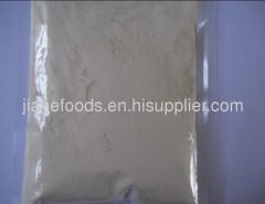 white onion powder from China food factory with 20years experience