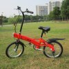 Joydeer Electric Bicycle EN15194