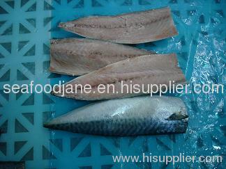 Frozen Pacific mackerel Whole Round W/R or fillet (Latin name:Scomber japonicus)