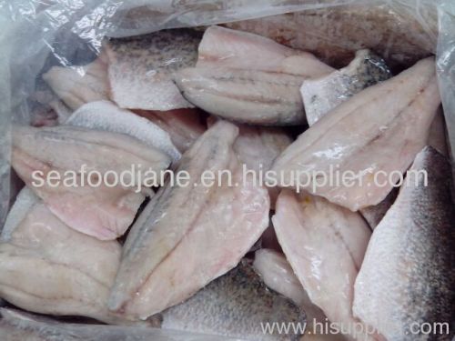 Frozen Barramundi fillet IQF (Latin name:Lates Calcarifer) fillets