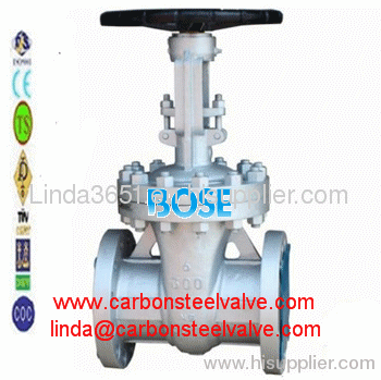 Carbon steel flange RF RTJ gate valve