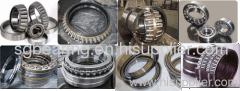 Bearing Dubai/Saudi/Turkey 22313CCW33+ NNU4924SMSP