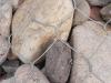 gabion mesh hot hot