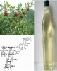Camellia Seed Oil;Tea Tree Oil