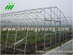 Economical Plastic Tunnel Greenhouse